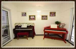  &nbsp;&nbsp;&nbsp;&nbsp;                      学生练琴房