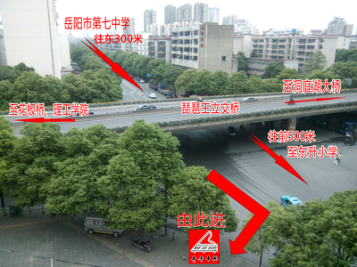 学校地图